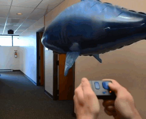 Remote Control Shark Balloon – Cute Matt